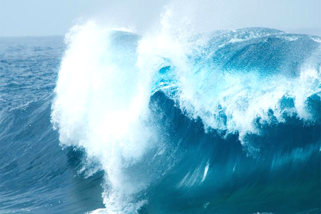 商標(biāo)在哪里注冊比較好 商標(biāo)在哪里注冊比較好