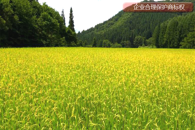 企業(yè)應(yīng)該如何合理使用注冊(cè)商標(biāo)不被侵權(quán)? 企業(yè)應(yīng)該如何合理使用注冊(cè)商標(biāo)不被侵權(quán)?