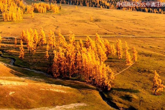 外國人或外國企業(yè)在中國申請商標注冊的具體程序 外國人或外國企業(yè)在中國申請商標注冊的具體程序