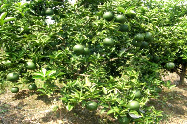 商標(biāo)怎么申請(qǐng)注冊(cè) 商標(biāo)怎么申請(qǐng)注冊(cè)