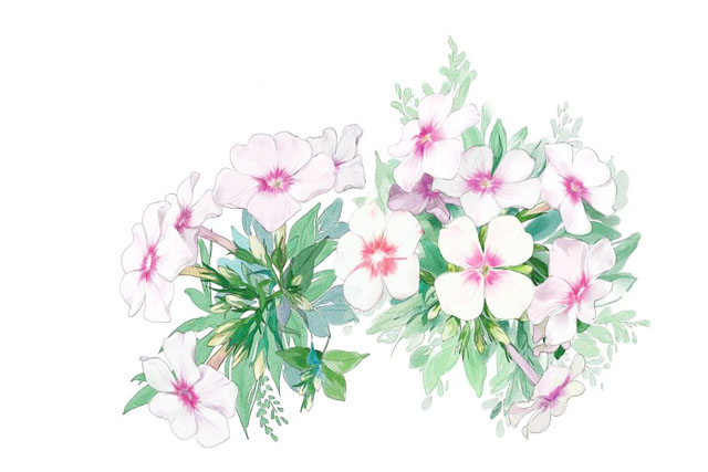 1690161350758657.jpg 商標(biāo)注冊后可以tm是啥意思